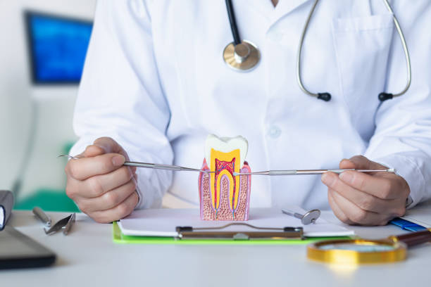Tooth Infection Emergency Dentist in MD